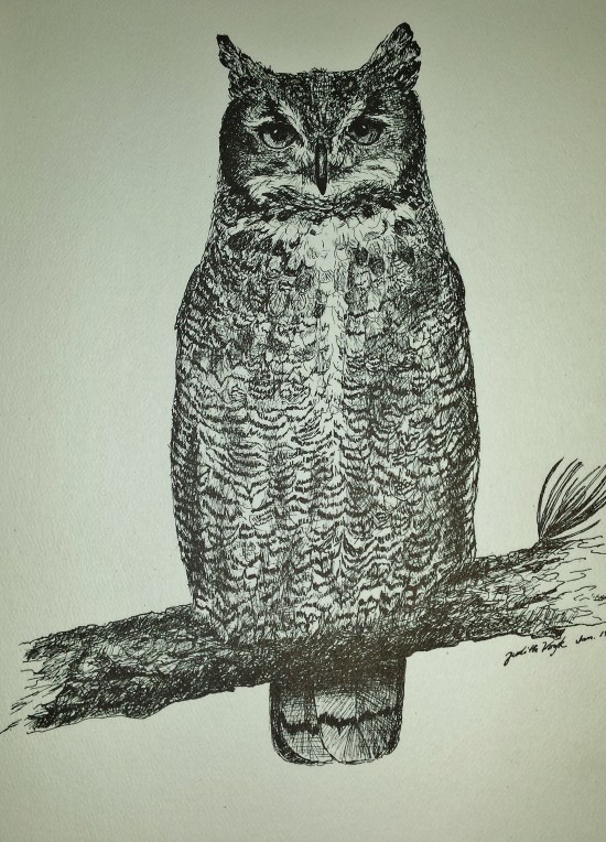 Great Horned Owl