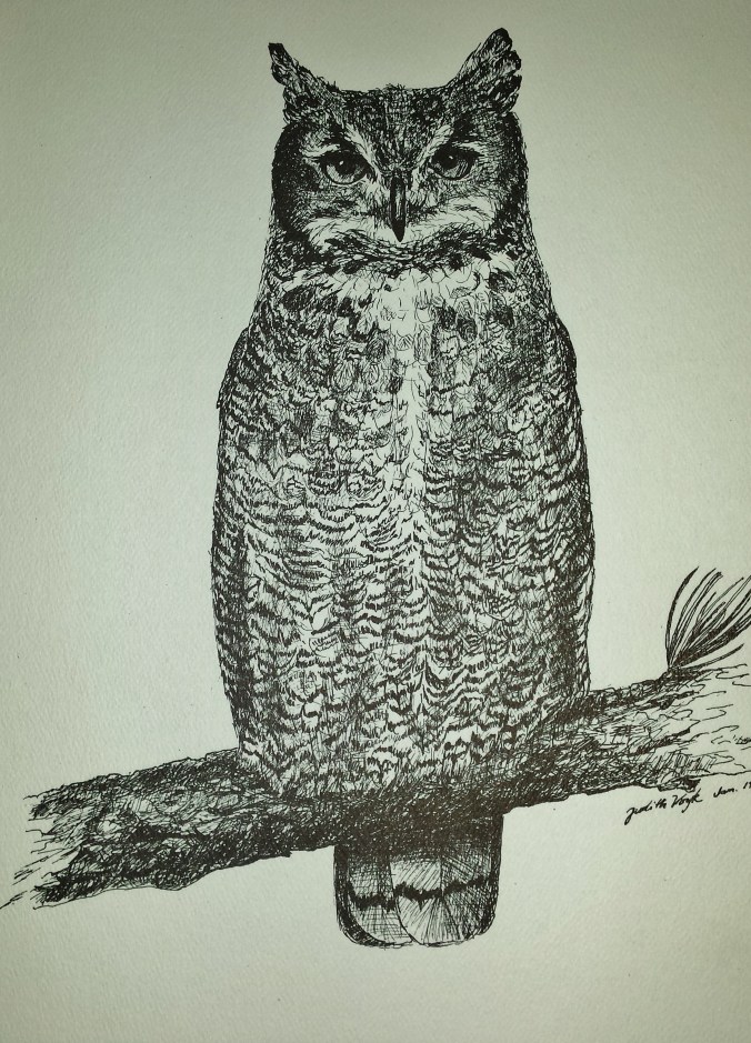 Great Horned Owl
