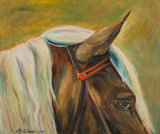 Rocky Mountain Horse