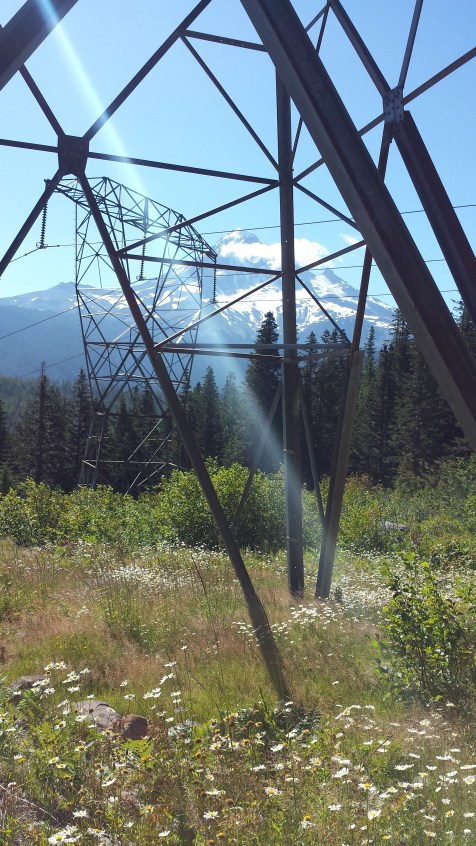 Hood peeks thru the towers of power.