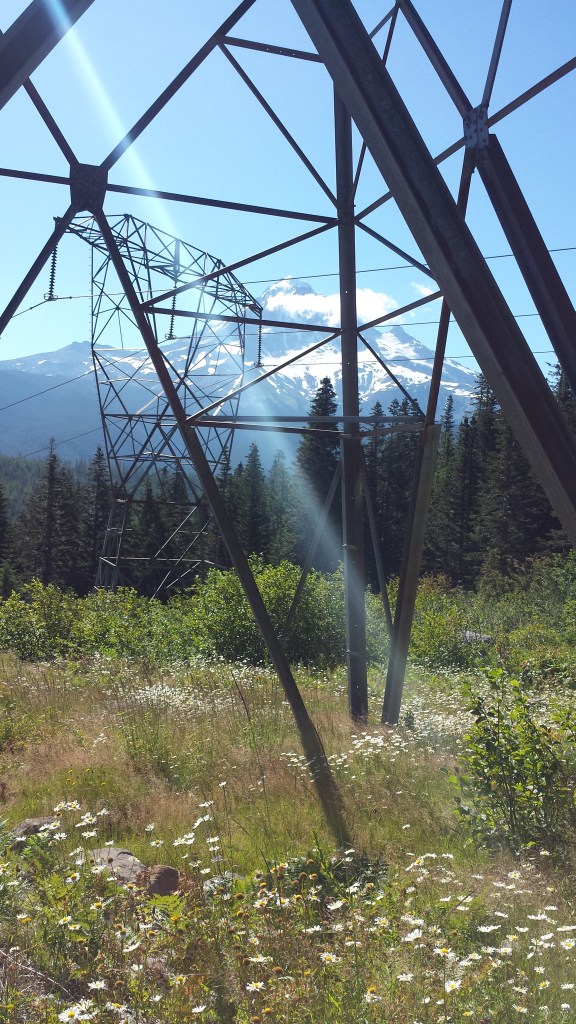 Hood peeks thru the towers of power.