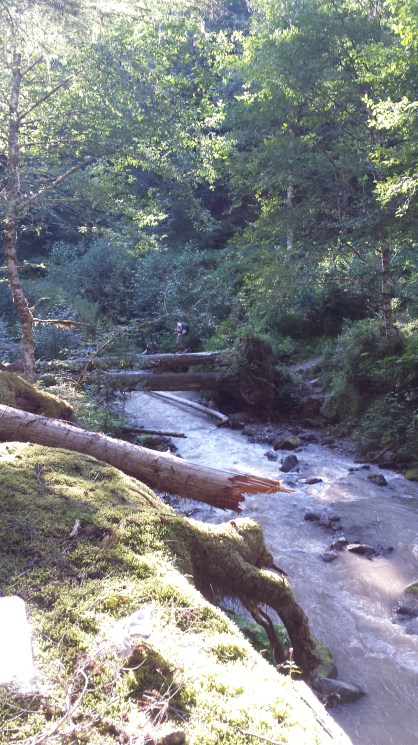 Note the squirrel hiker.