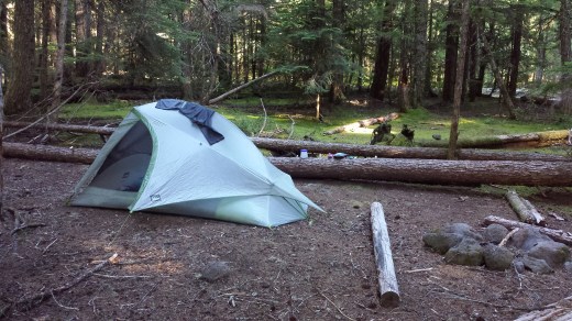 Mossy site. So cushy!