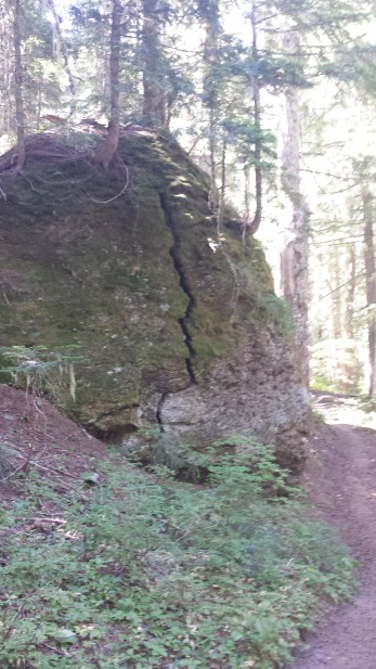 And then there was this interesting rock on the trail.