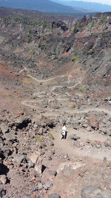 On the way down the Opie. I used this pic from last year with Scout so you could see the scale of these switchbacks.