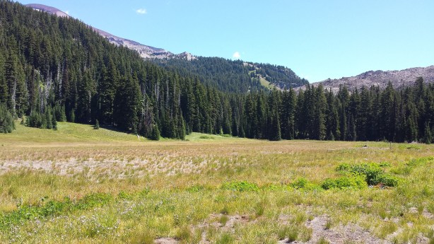 Mesa Creek and meadows.